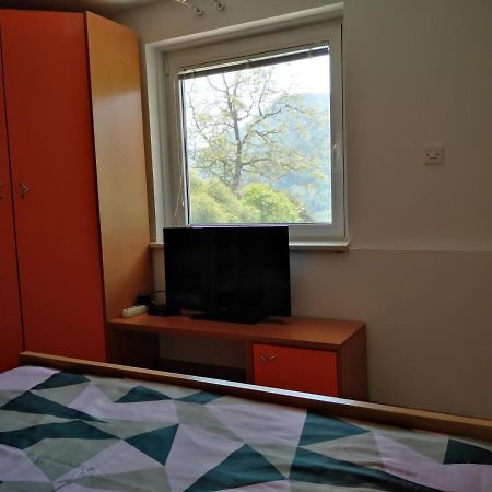 Apartment Zadraga Tolmin Eksteriør billede