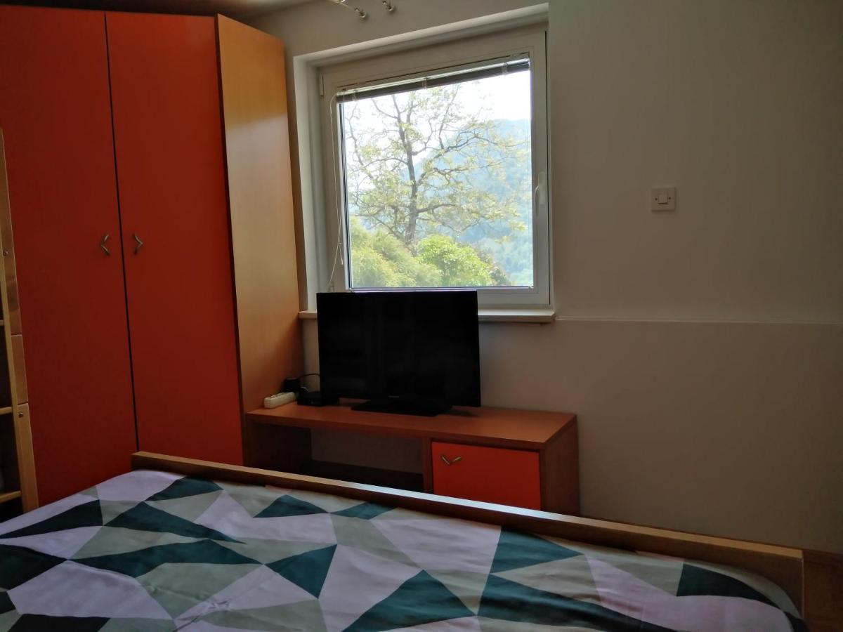 Apartment Zadraga Tolmin Eksteriør billede